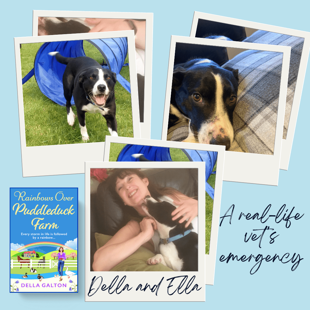 Behind The Scenes at Puddleduck Pets – My Real-Life Veterinary Emergency by Della Galton