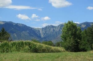 The Monte Grappa massif viewed from a field below my parents’ house.