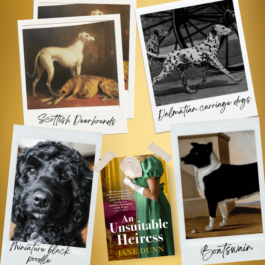 Regency Dogs: A blog post from Jane Dunn to celebrate International Dog Day!