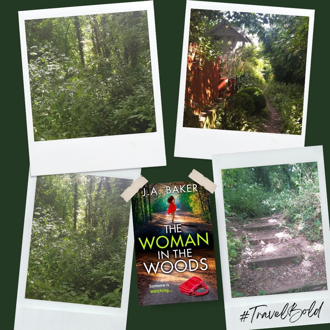 Into The Woods: A Blog Post From J A Baker