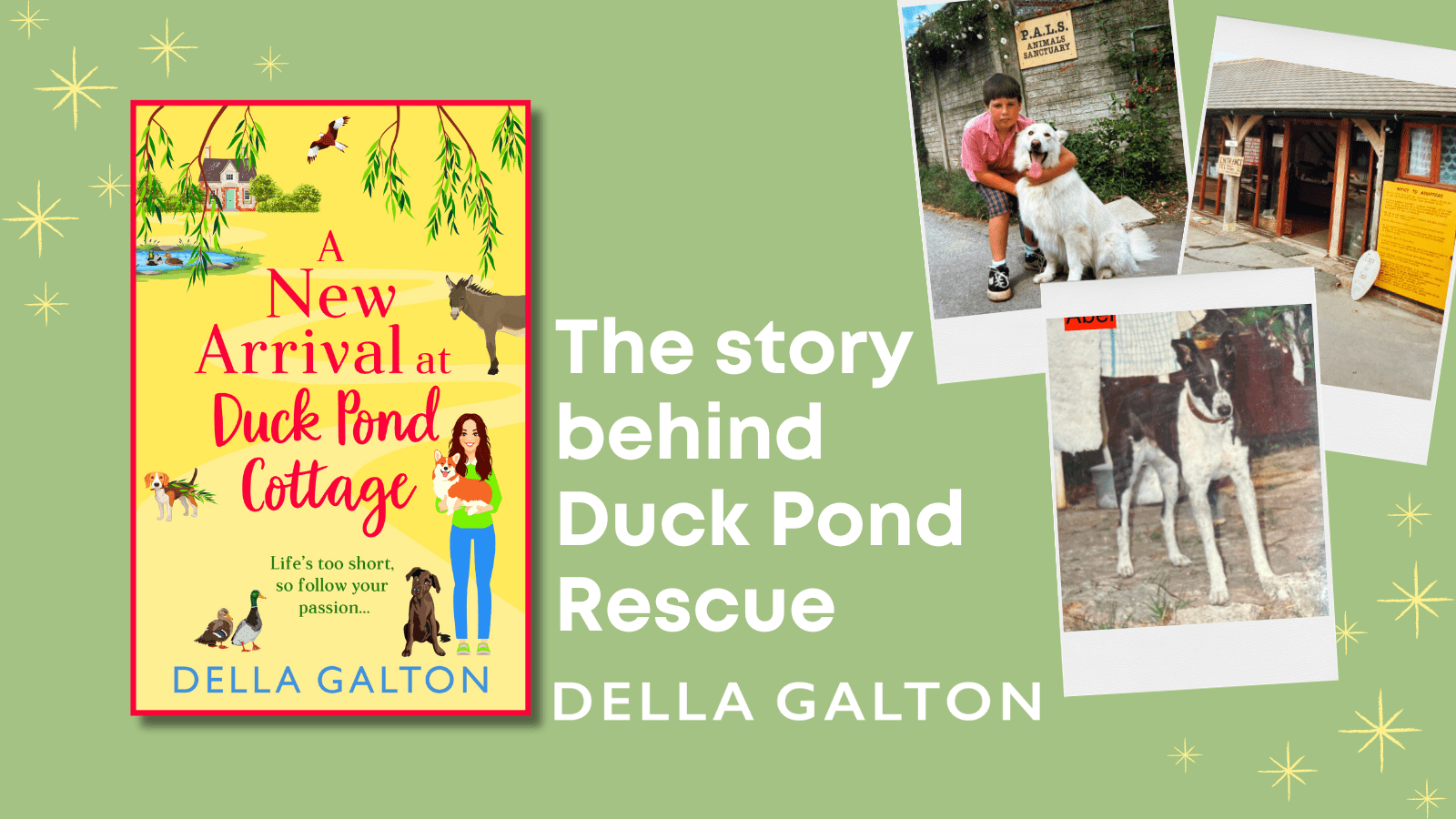 The story behind Duck Pond Rescue and my experiences as a volunteer dog walker