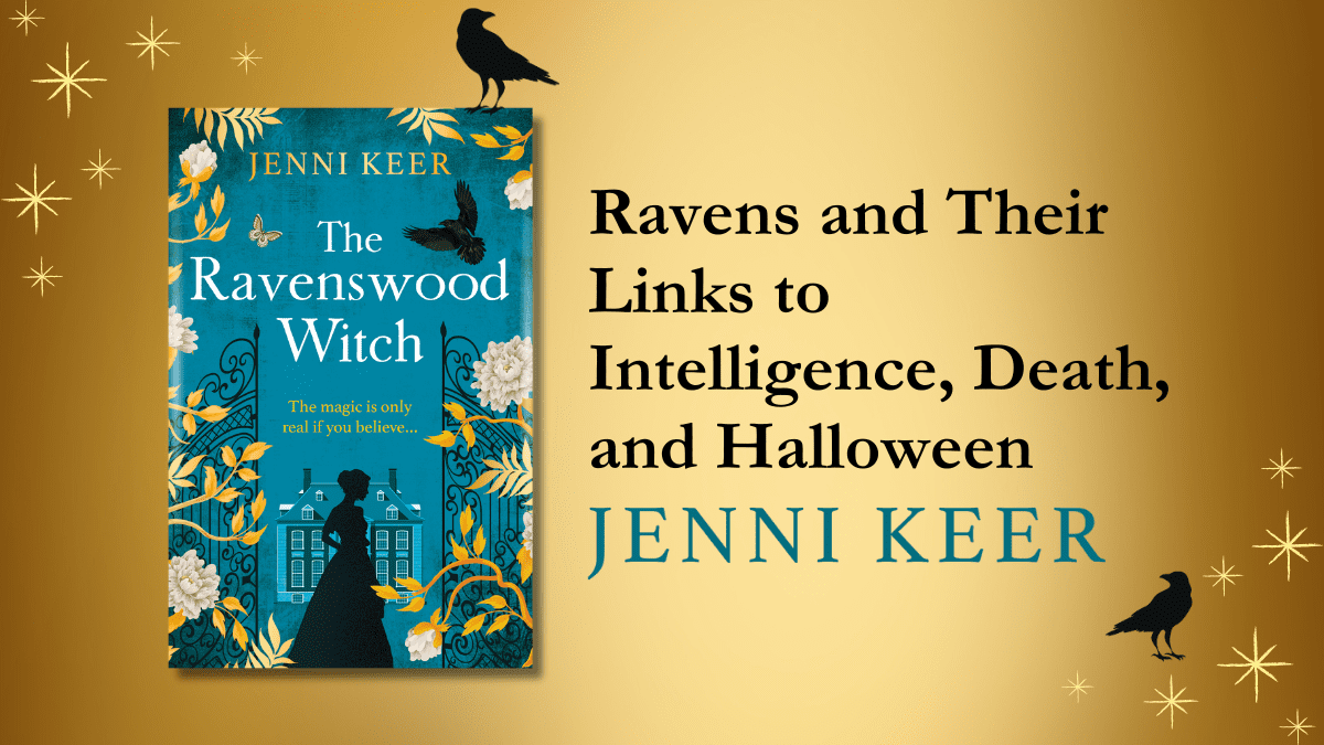 Ravens and Their Links to Intelligence, Death, and Halloween