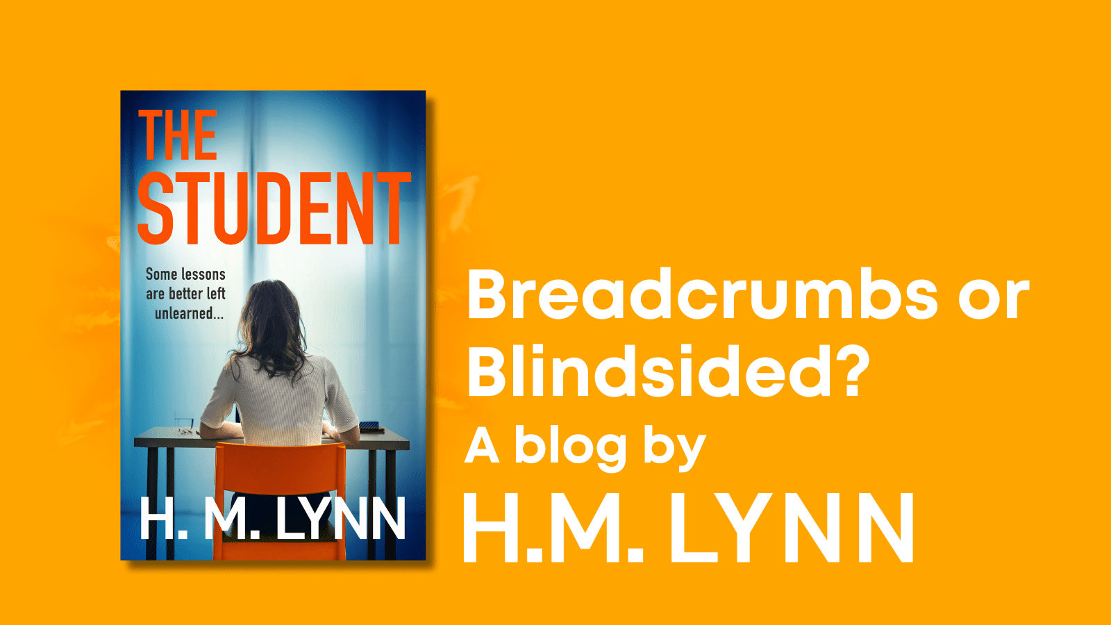 Breadcrumbs or Blindsided: A blog by H.M. Lynn