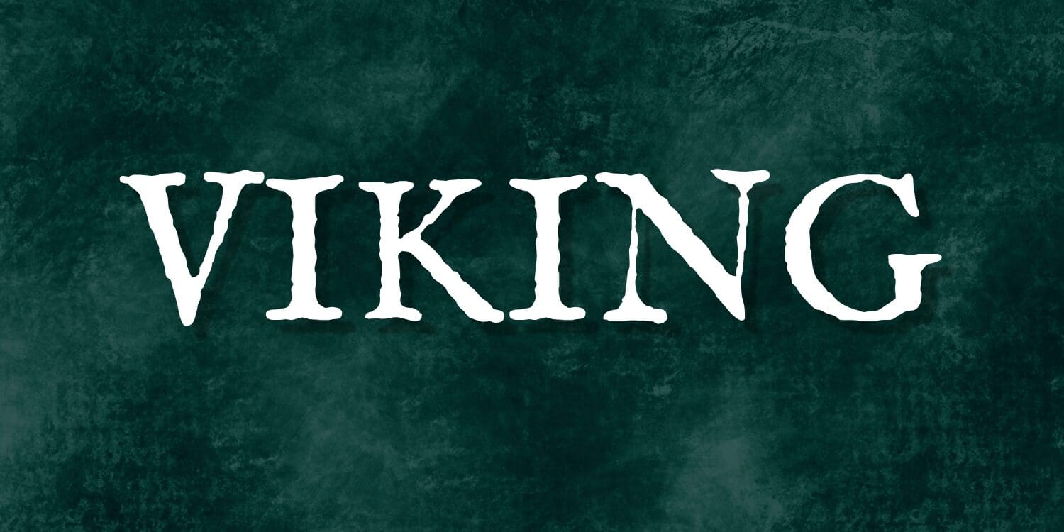 Warrior Chronicles Viking