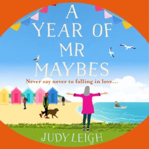 A Year of Mr Maybes (Digital audio)