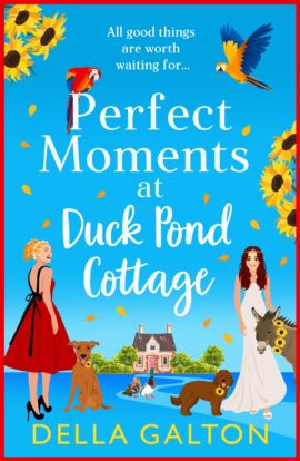 Perfect Moments at Duck Pond Cottage