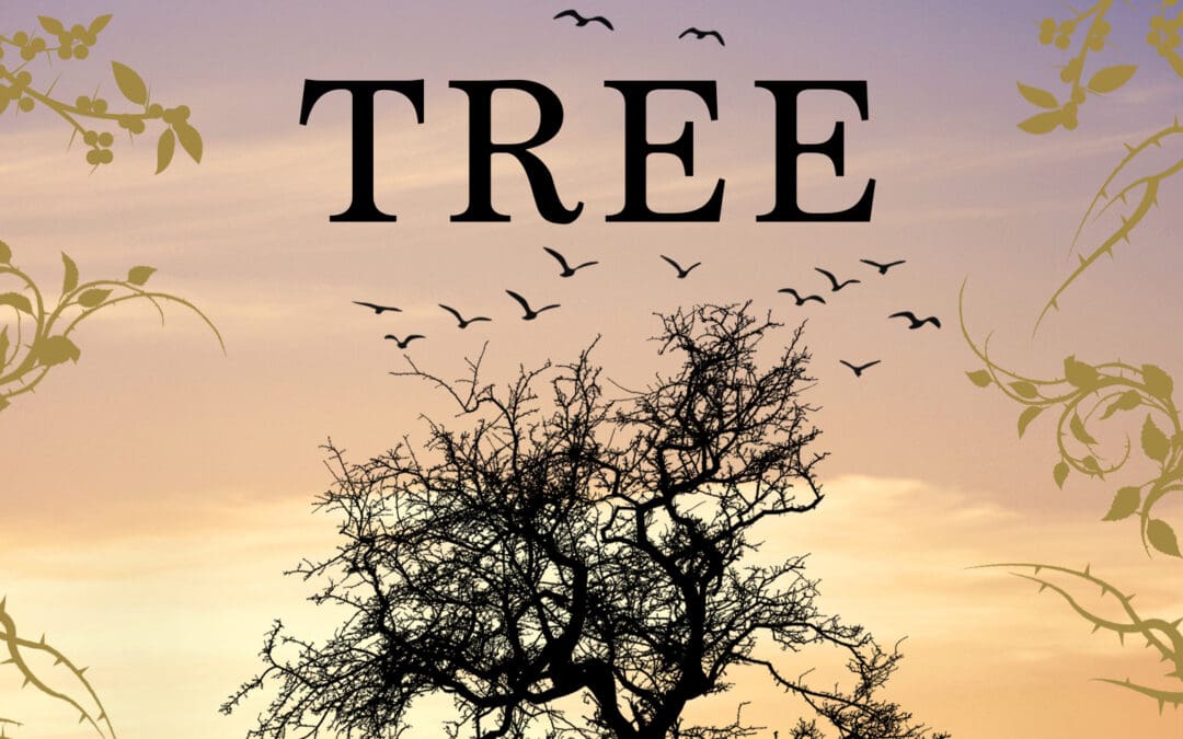 The Witch’s Tree