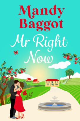Mr Right Now