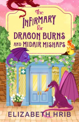 The Infirmary for Dragon Burns and Midair Mishaps