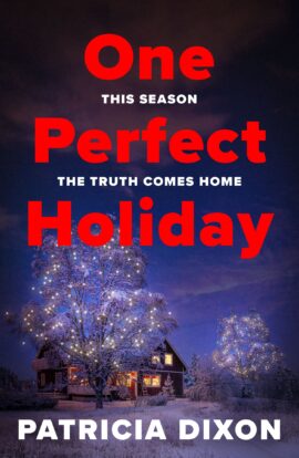 One Perfect Holiday