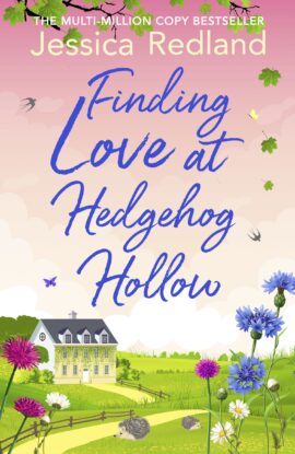 Finding Love at Hedgehog Hollow